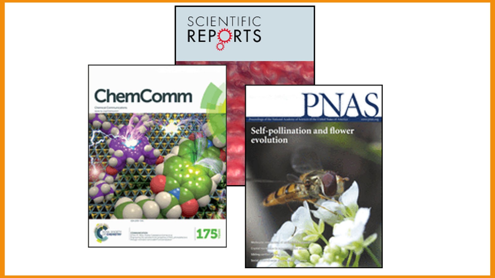 pnas,chemical communications和scientific reports的审稿时间是多少