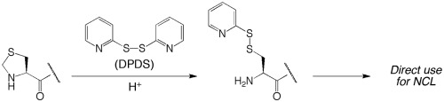 A Novel Ring Opening Reaction Of Peptide N Terminal Thiazolidine With