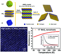 High Quality Single Layer Nanosheets Of MS2 M Mo Nb Ta Ti