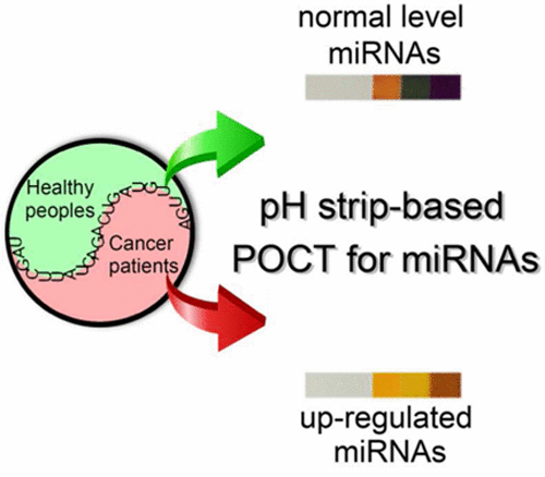 7b00850 laborious and costly detection of mirnas has brought