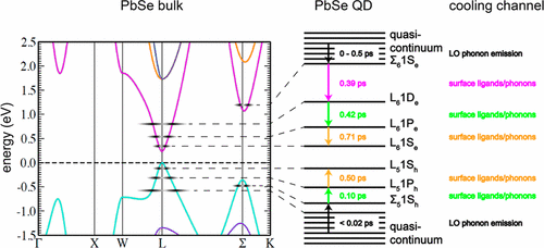 Broadband Cooling Spectra Of Hot Electrons And Holes In PbSe Quantum