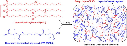 Curing Of Epoxidized Soybean Oil With Crystalline Oligomeric Poly