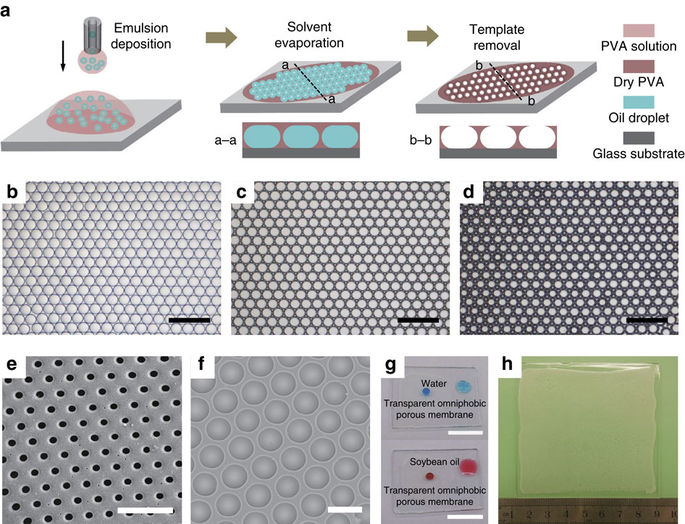 Well Defined Porous Membranes For Robust Omniphobic Surfaces Via