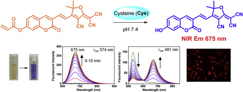 A Colorimetric And Ratiometric Fluorescent Probe With Enhanced Near