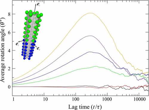 Molecular Dynamics Simulations Of The Rotational And Translational