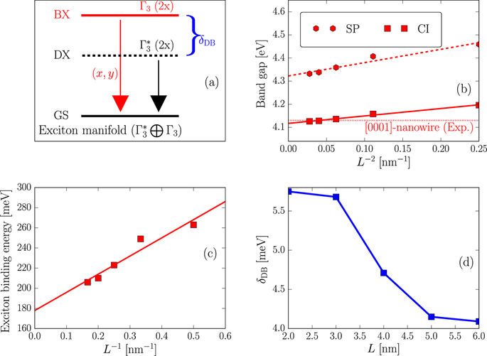 Morphology Control Of Exciton Fine Structure In Polar And Nonpolar Zinc