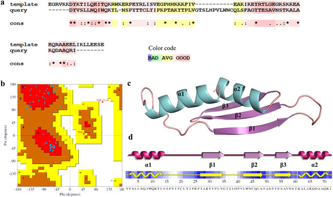 Structural Insights Into The Middle East Respiratory Syndrome