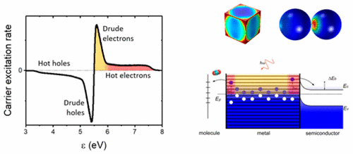 Understanding Hot Electron Generation And Plasmon Relaxation In Metal