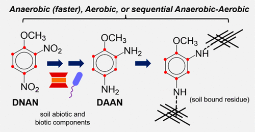 Environmental Fate Of 14C Radiolabeled 2 4 Dinitroanisole In Soil