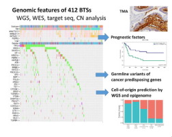 Genomic Characterization Of Biliary Tract Cancers Identifies Driver