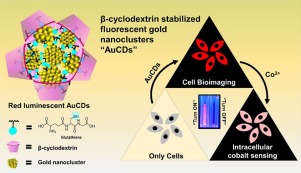 环糊精稳定的金纳米团簇用于Co 2 离子的生物成像和细胞内无标记选择性标记 Sensors and Actuators B