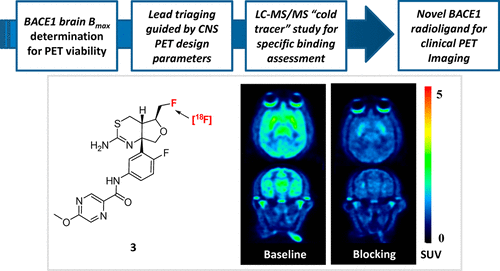 Identification Of A Novel Positron Emission Tomography PET Ligand For