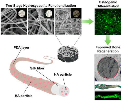 Electrospun Silk Fibroin Nanofibrous Scaffolds With Two Stage