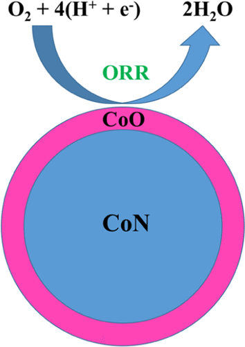 超薄氧化钴外层促进氮化钴催化氧还原反应的活性 The Journal of Physical Chemistry C X MOL