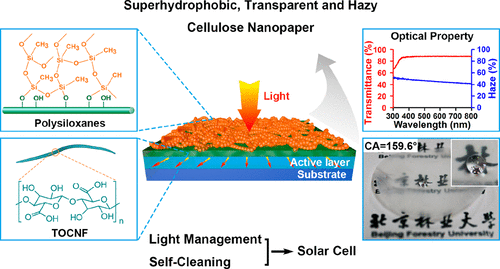 highly transparent and hazy cellulose nanopaper simultaneously