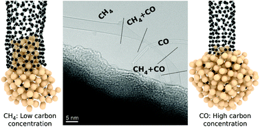 Growth Modes And Chiral Selectivity Of Single Walled Carbon Nanotubes