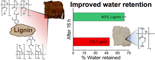 Sustainable Hydrogels Based On Lignin Methacrylate Copolymers With