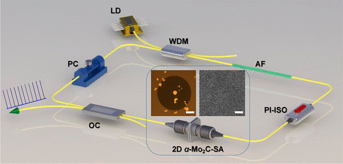 Ultrathin 2D Transition Metal Carbides For Ultrafast Pulsed Fiber