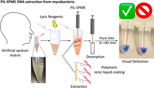 Solid Phase Microextraction Of DNA From Mycobacteria In Artificial