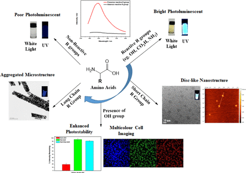 Uncovering The Design Principle Of Amino Acid Derived Photoluminescent