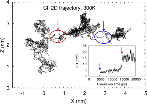 Molecular Dynamics Simulation Of Salt Diffusion In Polyelectrolyte