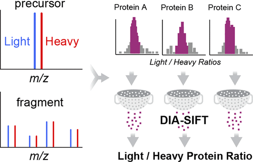 Dia Sift A Precursor And Product Ion Filter For Accurate Stable