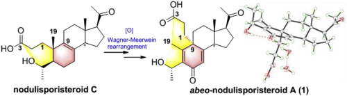 A Rearranged Seco Steroid With New Skeleton And Five New Abnormal