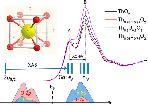 Uranium Induced Changes In Crystal Field And Covalency Effects Of Th4