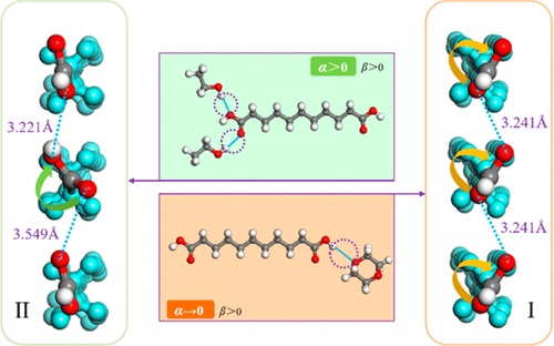 Insight Into Solvent Dependent Conformational Polymorph Selectivity