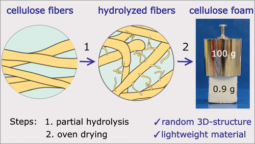 Simple Preparation Of Cellulosic Lightweight Materials From Eucalyptus