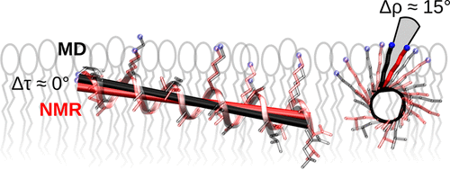 Best Of Two Worlds How MD Simulations Of Amphiphilic Helical Peptides