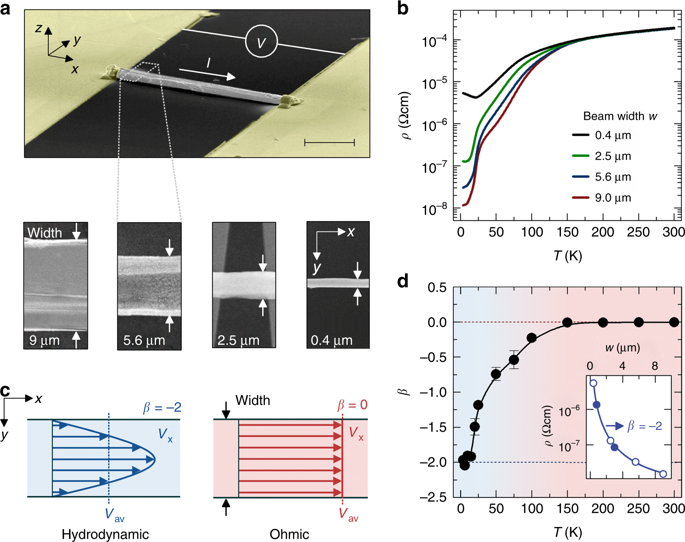 Thermal And Electrical Signatures Of A Hydrodynamic Electron Fluid In