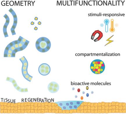 Design Principles And Multifunctionality In Cell Encapsulation Systems