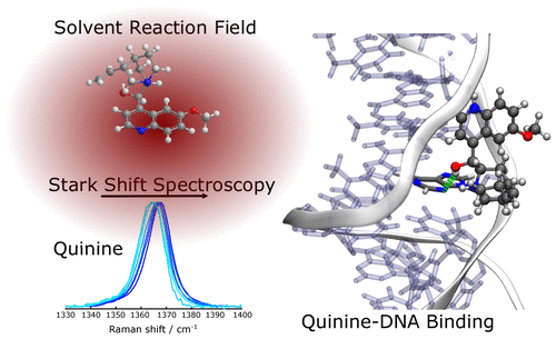 New Insights Into Quininedna Binding Using Raman Spectroscopy And