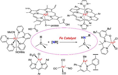 Recent Advances In IronCatalyzed CH Bond Amination Via Iron Imido