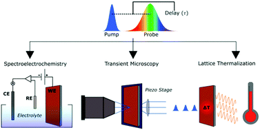 Three Applications Of Ultrafast Transient Absorption Spectroscopy Of