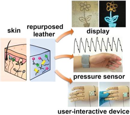 具有传感功能的多功能电子皮肤的再利用皮革 Advanced Science X MOL