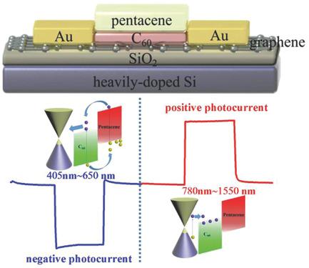 具有宽带和双向光响应的石墨烯 有机半导体异质结光电晶体管 Advanced Materials X MOL