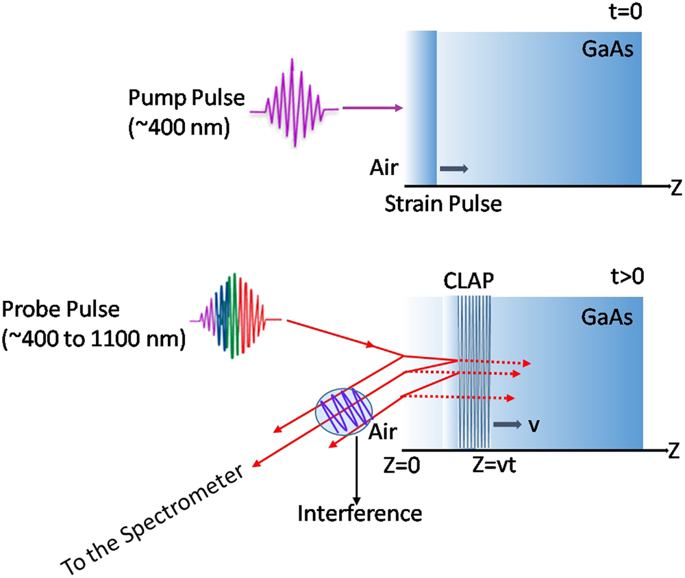 Fano Resonance Between Coherent Acoustic Phonon Oscillations And