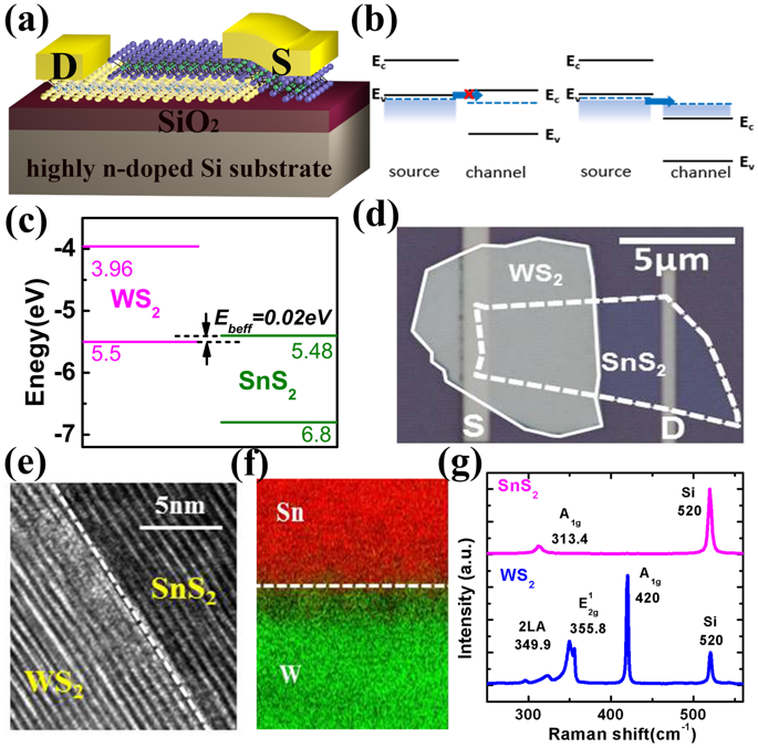 vertical ws2/sns2 van der waals heterostructure for tunneling