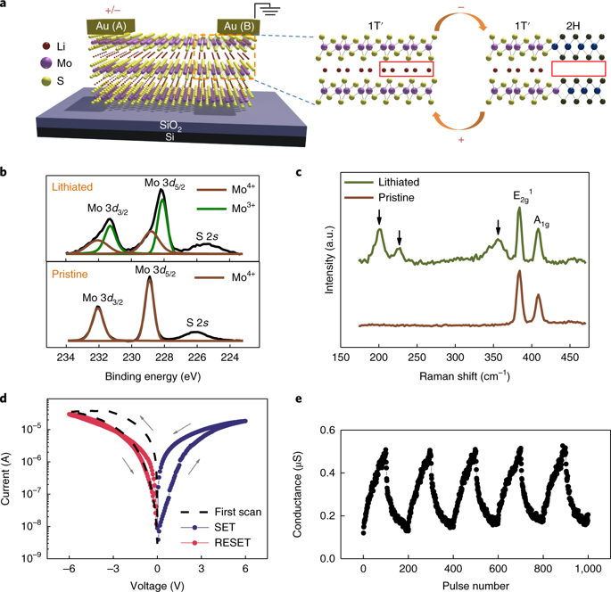 Ionic Modulation And Ionic Coupling Effects In MoS 2 Devices For