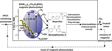 Visible Light Driven Photocatalytic Removal Of PPCPs Using Magnetically