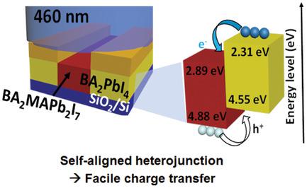 2D PerovskiteBased SelfAligned Lateral Heterostructure Photodetectors