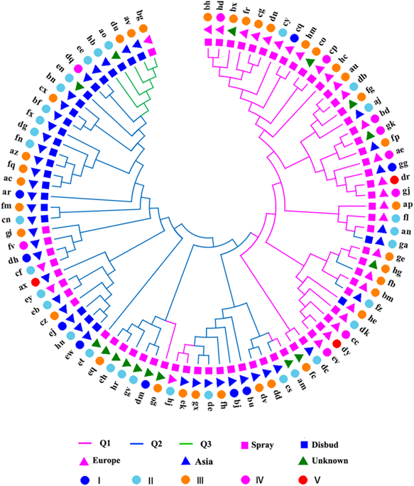 Genome Wide Association Study Identifies Favorable SNP Alleles And