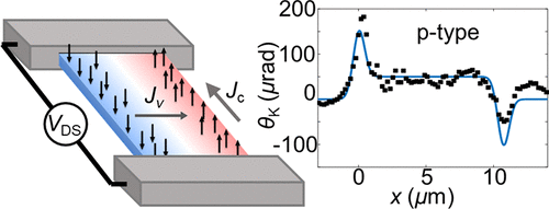 Spatial Separation Of Carrier Spin By The Valley Hall Effect In