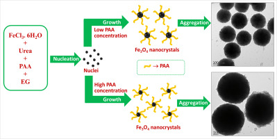 Size Controlled Synthesis Of Superparamagnetic Magnetite Nanoclusters