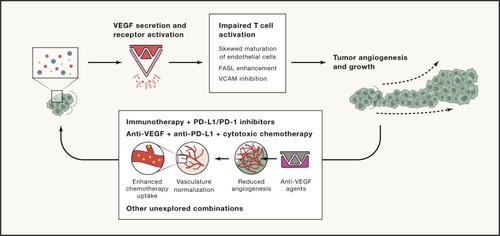 Vegf In Signaling And Disease Beyond Discovery And Development Cell