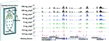 Microfluidic Medip Seq For Low Input Methylomic Analysis Of Mammary