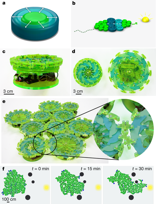 Particle Robotics Based On Statistical Mechanics Of Loosely Coupled