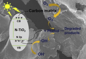 一步法原位制备Ti 3 C 2 MXene衍生的N掺杂TiO 2 C以增强可见光驱动的光降解 Applied Catalysis B